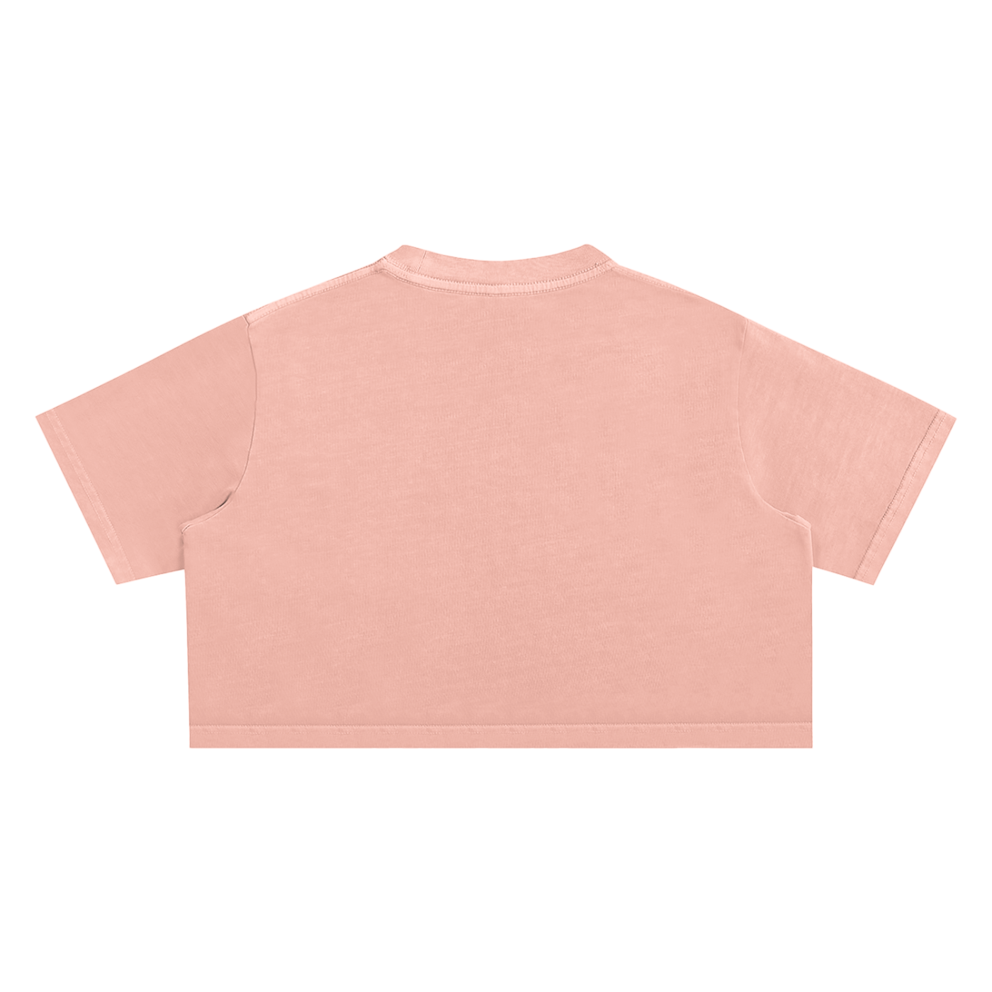 Women's Chapter 001 — Living Off Life STK Snow Washed Crop Tee
