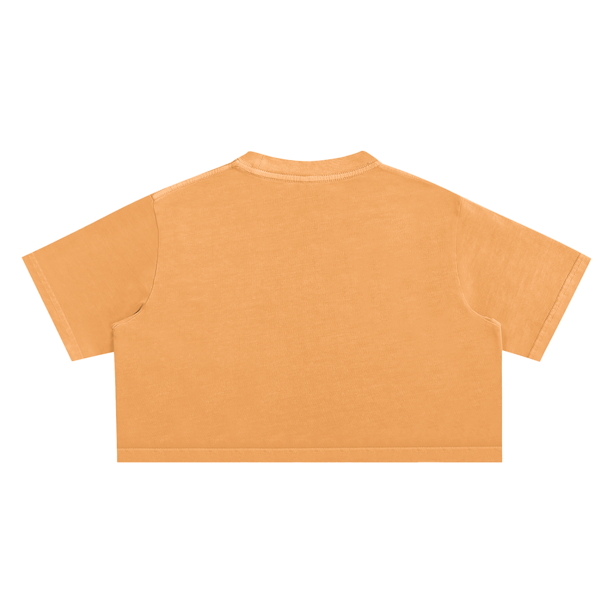 Women's Chapter 001 — Living Off Life STK Snow Washed Crop Tee