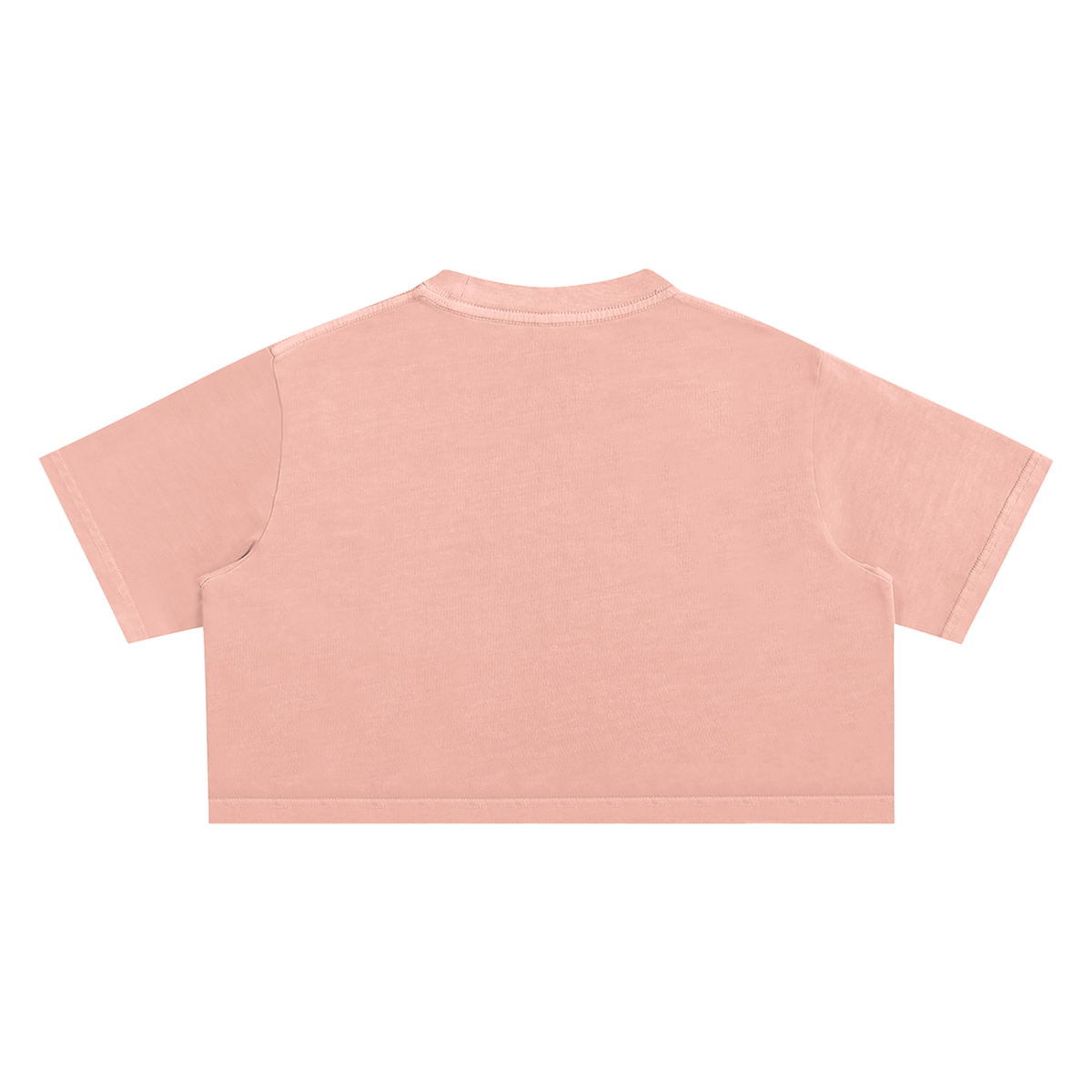 Women's Chapter 001 — Living Off Life STK Snow Washed Crop Tee
