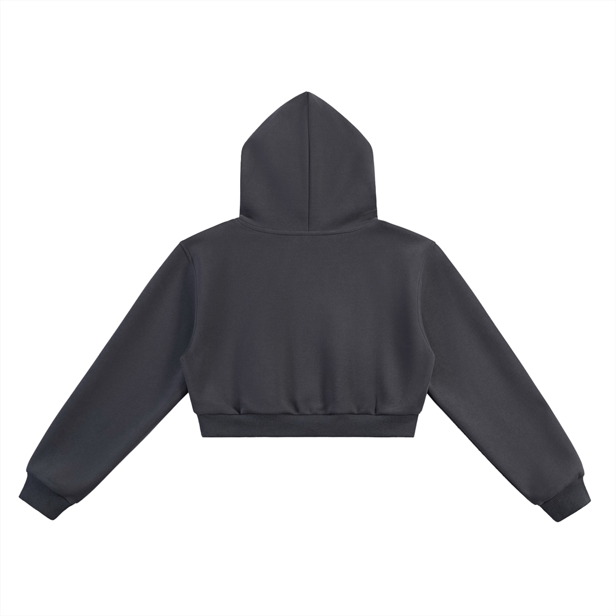 WOMENS CHAPTER 002.5 MUNIONS-Essential Cropped Hoodie
