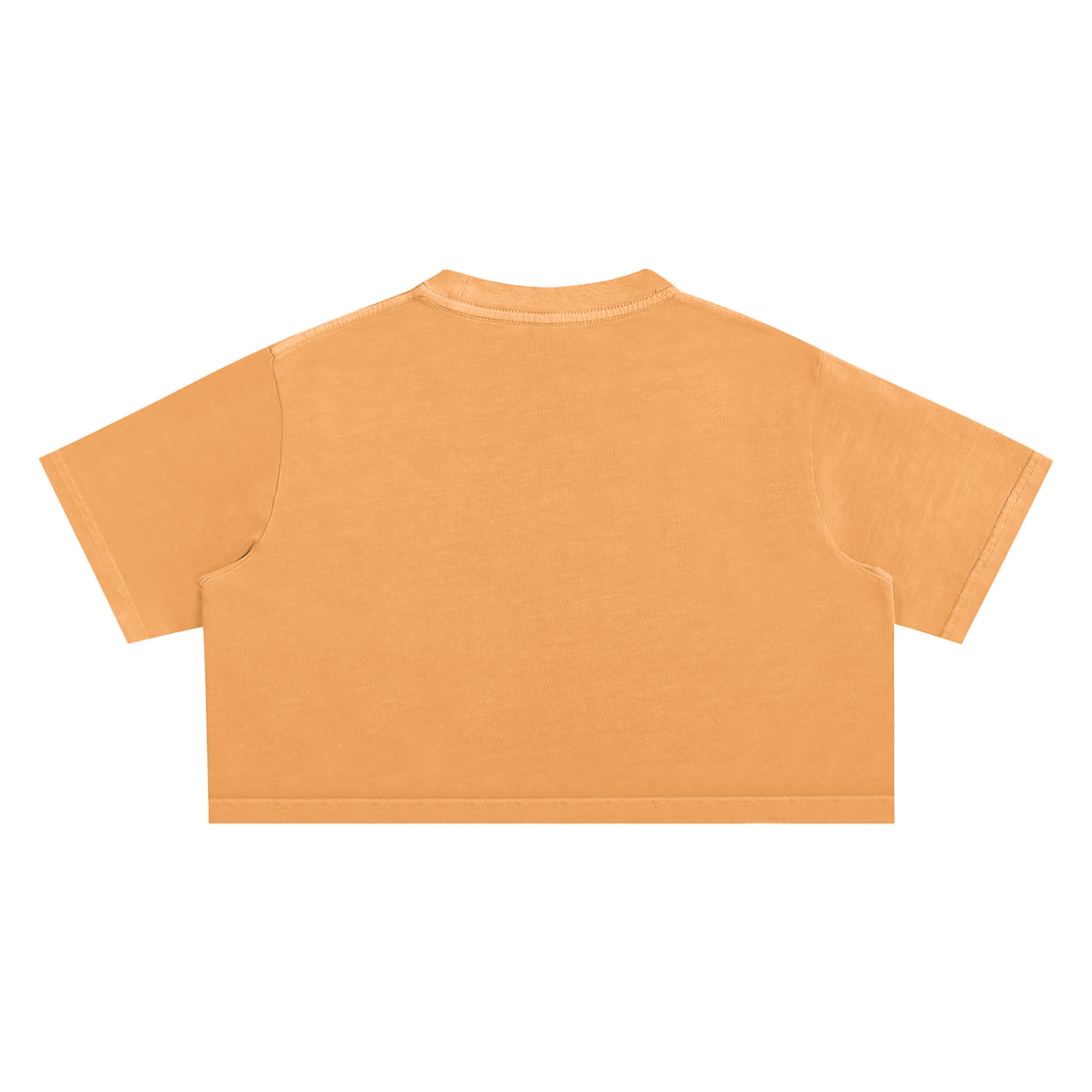 Women's Chapter 001 — Living Off Life STK Snow Washed Crop Tee