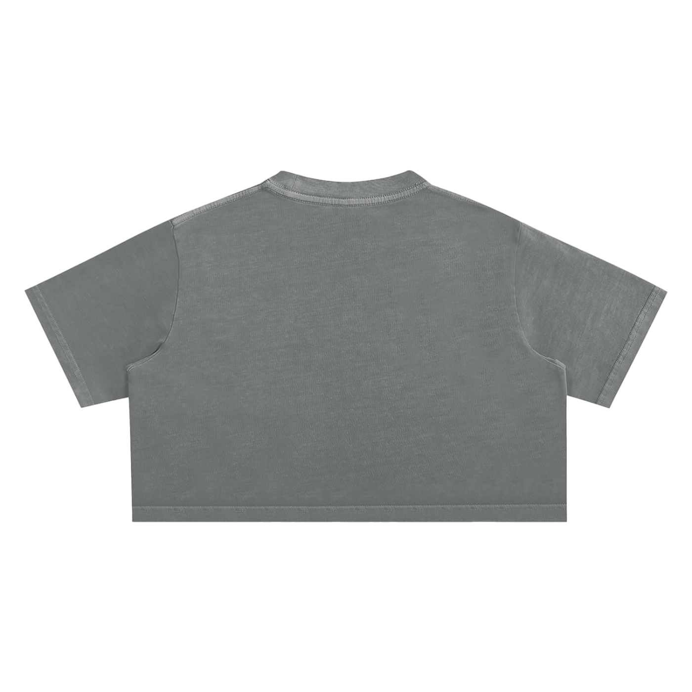 Women's Chapter 001 — Living Off Life STK Snow Washed Crop Tee